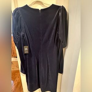 Express puff sleeve dress